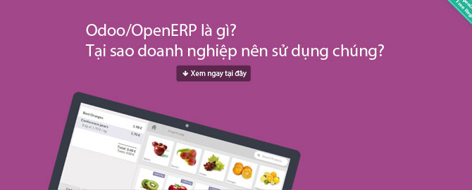Odoo/OpenERP là gì và tại sao doanh nghiệp nên sử dụng chúng 01